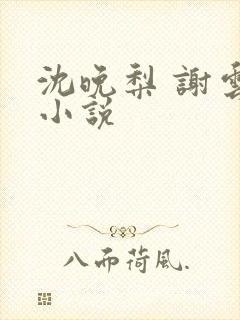 沈晚梨 谢云迟小说