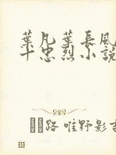 叶凡叶长风一门十忠烈小说