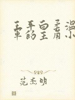 王平白柔温婉肖军的主角小说免费阅读下载