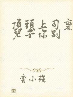 顶头上司变后妈儿子你别封面