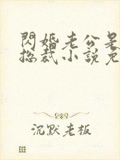 闪婚老公是千亿总裁小说免费
