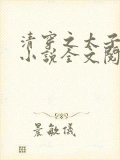 清穿之太子娇妃小说全文阅读