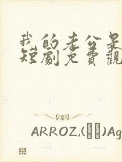 我的老公是总裁短剧免费观看全集