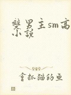 双男主sm高h小说