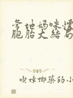 爹地妈咪怀了三胞胎大结局