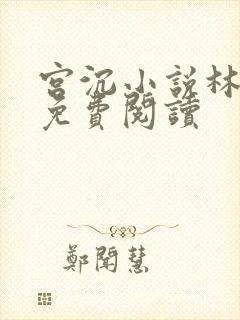 宫沉小说林知意免费阅读