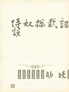 侍奴总裁认主小说封面