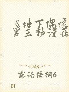 《地下偶像》双男主动漫在线播放