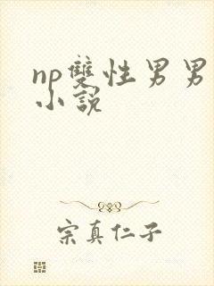 np双性男男h小说封面