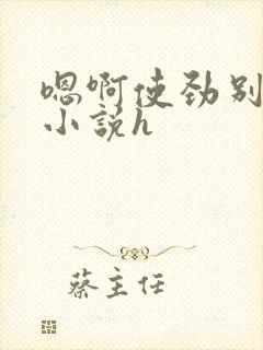 嗯啊使劲别停啊小说h