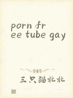 porn free tube gay