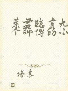 叶君临有九十九个师傅的小说