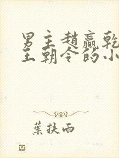男主赵赢乾女主王朝令的小说封面