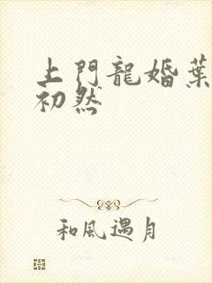 上门龙婚叶辰萧初然