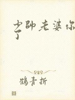 少帅老婆你又跑了封面