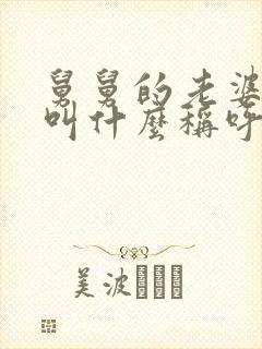 舅舅的老婆应该叫什么称呼呢