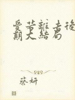 爱若离去后会无期大结局封面