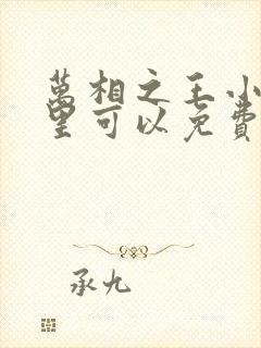 万相之王小说哪里可以免费阅读