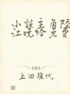 小说主角陆时今江晚吟免费阅读封面