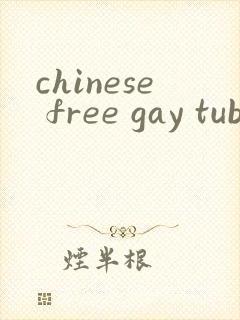 chinese free gay tube封面