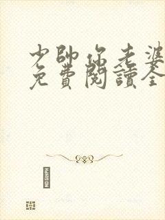 少帅你老婆跑了免费阅读全文封面