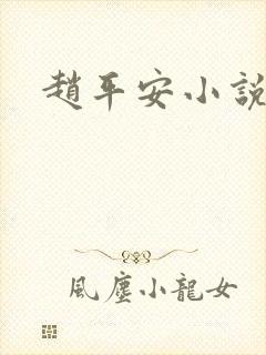 赵平安小说主角封面