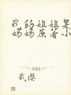 我的姐姐是不良妈妈原著小说叫什么名字封面