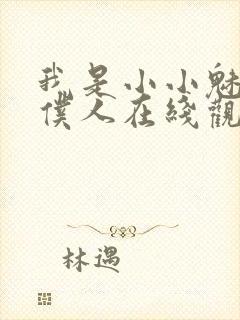 我是小小魅魔的仆人在线观看新动漫