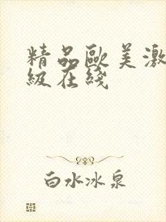 精品欧美激情一级在线