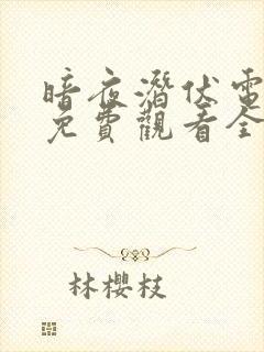 暗夜潜伏电视剧免费观看全集高清