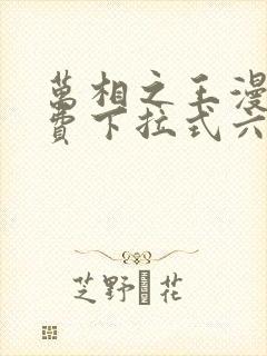 万相之王漫画免费下拉式六漫画80