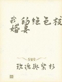 我的绝色校花未婚妻