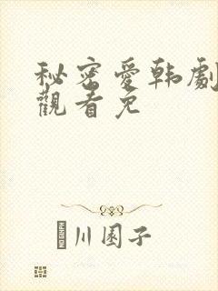秘密爱韩剧在线观看免封面