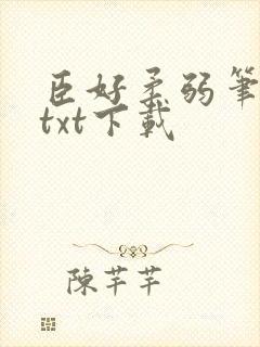 臣好柔弱笔趣阁txt下载