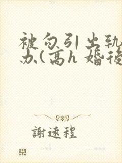 被勾引出轨怎么办(高h 婚后np)
