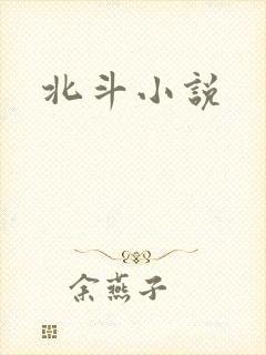 北斗小说
