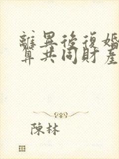 离异后复婚财产算共同财产封面