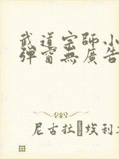 武道宗师小说无弹窗无广告