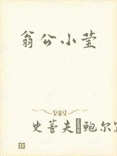 翁公小莹