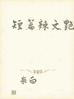 短篇辣文艳情