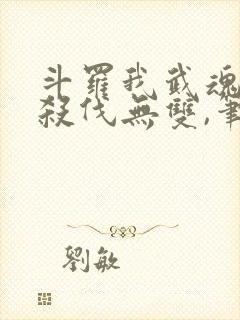 斗罗我武魂进化杀伐无双,笔趣阁