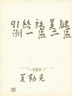 91丝袜美腿亚洲一区二区