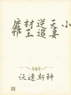 废材逆天小姐之邪王追妻封面