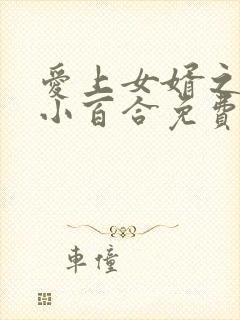 爱上女婿之叶山小百合免费观看封面