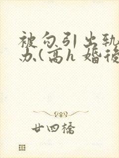 被勾引出轨怎么办(高h 婚后np)(