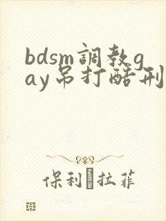 bdsm调教gay吊打酷刑