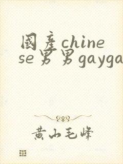 国产chinese男男gaygay网站肌肉
