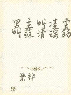 男主叫凌霄女主叫苏清瑶的小说名字