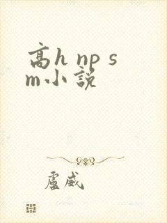 高h np sm小说