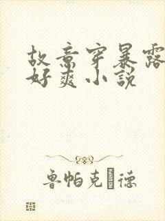 故意穿暴露被强好爽小说